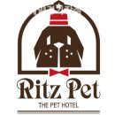 계양경기장 벨로드롬 | 인천 서운동 애견카페 추천 리츠펫 계양경기장점 실제 방문 후기와 리얼 팁