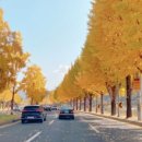 수태골농장 이미지