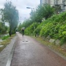 구미교→미금교(좌안) 이미지