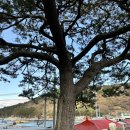 봉암축산 이미지