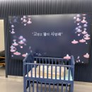 몽몽이엠파크 이미지