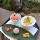 녹태원