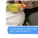 사월일기