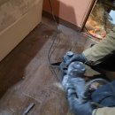 보은여관 | 의정부 오래된 숙박업소 리모델링 중 난방 배관 동파 누수로 열 탐지, 청음 탐지로 수리