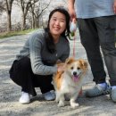 행운캔넬 | 바보생각은 봄바람으로 지워내기