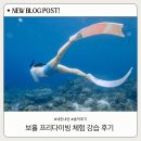 친구랑 보홀 Day 3-2 : 오라보라 프리다이빙 강습체험 프다호핑 후기 내돈내산