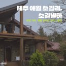 애월에낭 민박 | [제주/애월] 효리네 민박이 소품샵으로! 소길별하 솔직 후기 🌿
