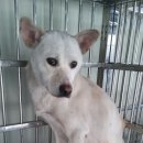 낙동북로 이미지