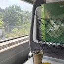 스위트 스테이여수 | [여수] 신라스테이 여수 / 디럭스 스위트룸 오션뷰 조식 후기