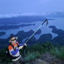 게으른 악어 이미지