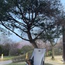 신정호느티나무카페