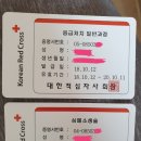 적십자사에서 응급처치/심폐소생술 강습 들은 후기 이미지