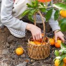 미래로농장 이미지