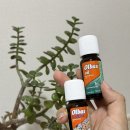 라이프칠드런 | 아기 코막힘 뚫는법 콧물멈추는법 | 올바스오일 칠드런 오리지널 솔직 후기 사용법