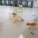 욜로호텔 이미지
