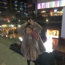 느티나무와 곰이복이 이미지