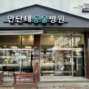 안단테동물병원