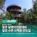 12/2 (화) 송년도보 / 밀양 핫플 ~용두산 달팽이전망대 + 수변잔도길 (2호차접수중) 이미지