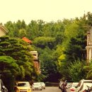 정발산공원 화장실-5 이미지