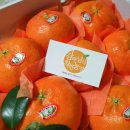 착한농장 이미지