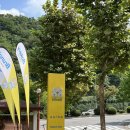 매화마을길(벌말로50번길) 이미지