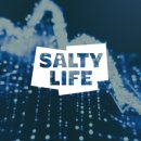 (주)피오피바이오테크 | 쉽고 간단한 사회초년생 왕초보 공모주 투자 재테크 가이드 핵심만! 공모주 4년차의 추천 후기