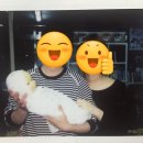 해피베이비 이미지