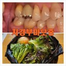 블루덴치과의원 이미지