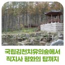 백수문학관 세미나실 | 김천여행지 추천: 김천치유의숲에서 직지사 평화의 탑까지, 김천 속으로