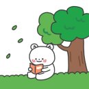 슈나애견미용 이미지