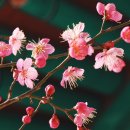 맑은바람 - 1030 | 맑은바람