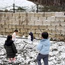 진천 포레스트 캠핑장 이미지