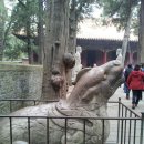 연성행정사사무소 이미지