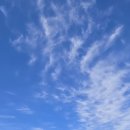 한진 목장 이미지