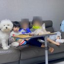 하루필름보정동카페 이미지