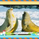 영변목장 이미지