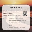 순천만 숲5 이미지