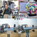 흥무로2(동) | 투어 in 경주 공연후기|날이 좋아서 행복했던 장범준 벚꽃투어 후기, 2주차 벚꽃투어 일정,초보 예매 꿀팁