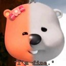 휘트니스인X필라테스인 이미지