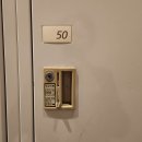 백자 | 압구정 도산공원 초입 호림박물관 신사분관 <미묘지색 고려백자와 조선청자> 전시 후기 무료 관람 팁