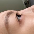 오늘 the 예쁜눈썹 | 우산동 속눈썹펌 오늘the예쁜눈썹 진짜 만족한 후기