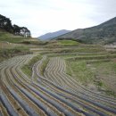 다리목여관 이미지