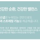 마스터핏 이미지