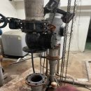 리스체크 이미지