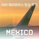 에어로패스 | 비바 에어로버스(VIVA Aerobus) 후기｜멕시코시티에서 몬테레이 국내선 이용기