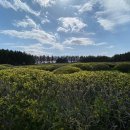 대기농장 이미지