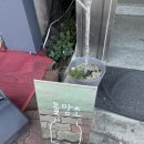 목포역 건너편 호남약국 | 목포 소품샵ㅣ물망초 내돈내산으로 구매한 2주년 이벤트 랜덤박스 찐후기