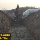 오성벌목