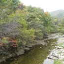 백제어죽 이미지