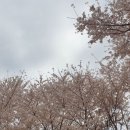 봉제산근린공원 이미지